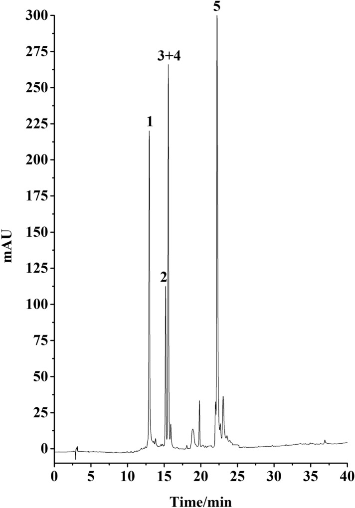 Figure 8