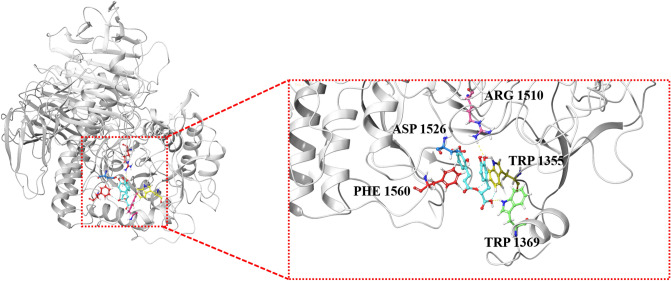 Figure 7