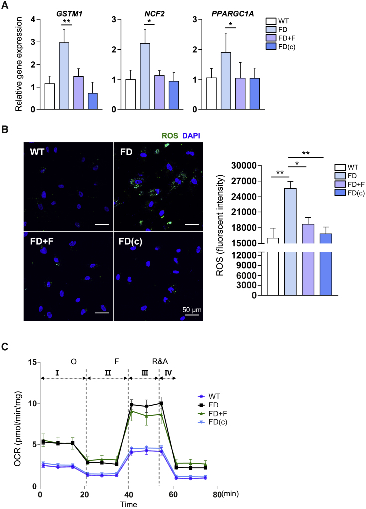 Figure 4