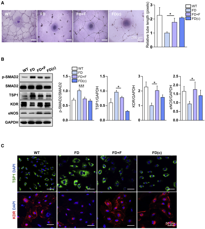 Figure 2