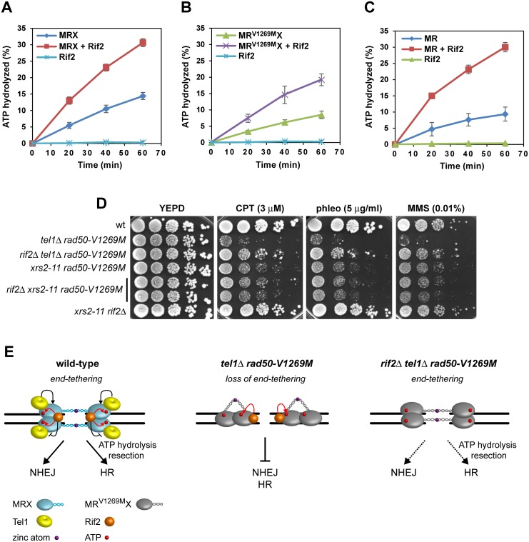 Fig 10