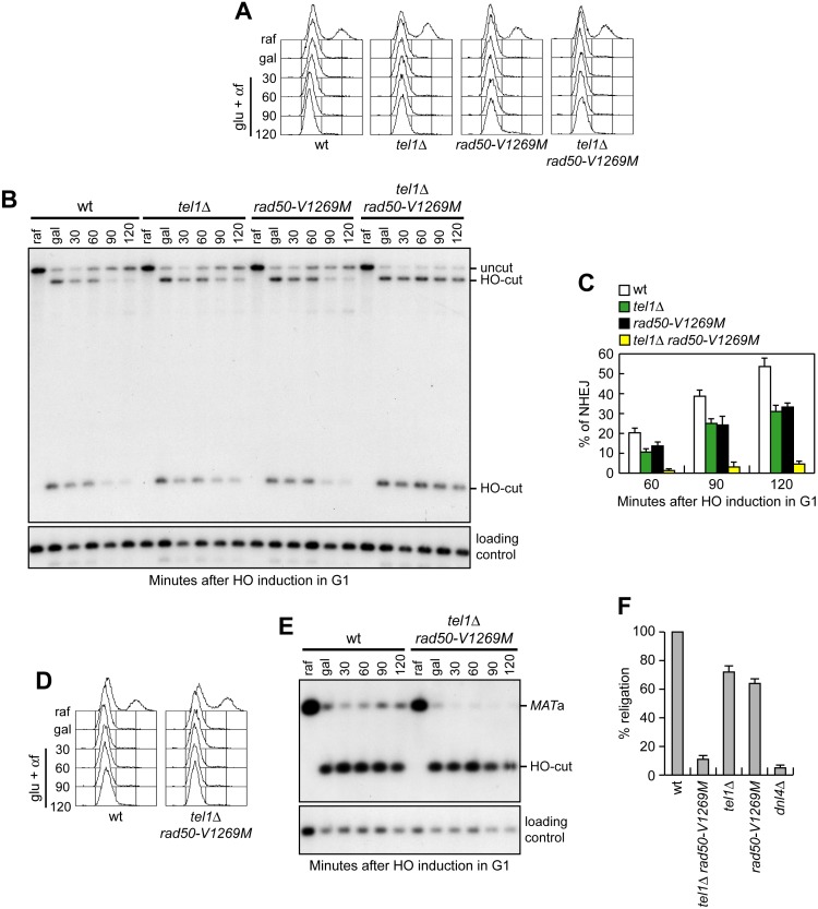 Fig 6