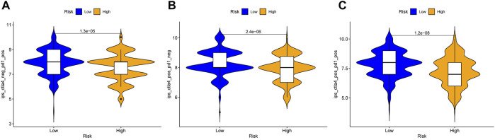 FIGURE 12