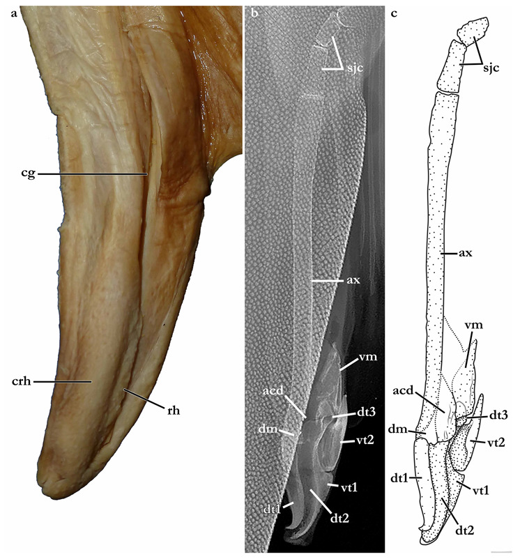 Figure 14
