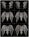 Figure 28