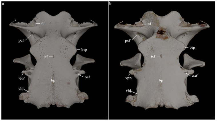 Figure 22