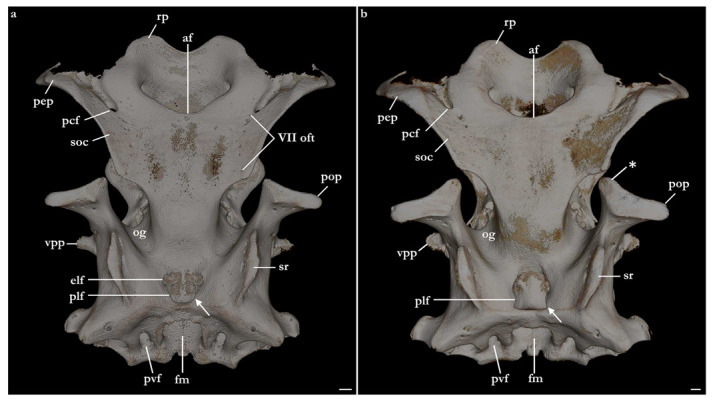 Figure 21