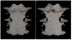 Figure 22
