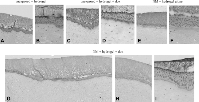 FIG. 7.