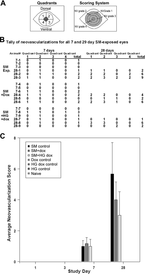 FIG. 10.