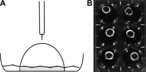 FIG. 1.