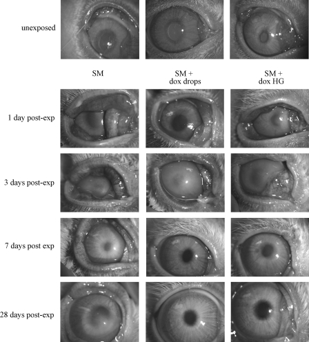 FIG. 8.