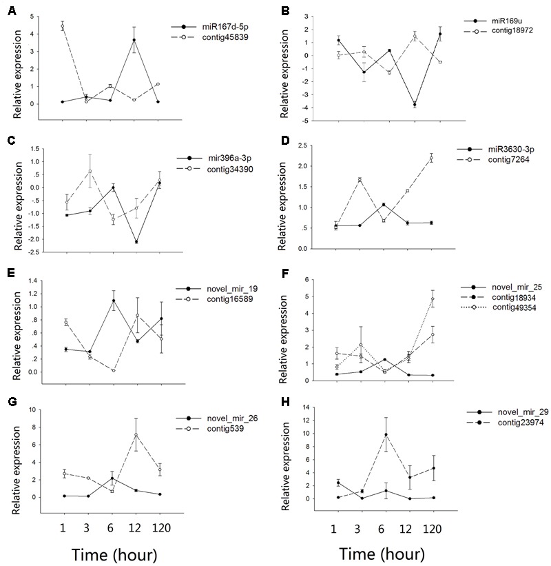 FIGURE 4