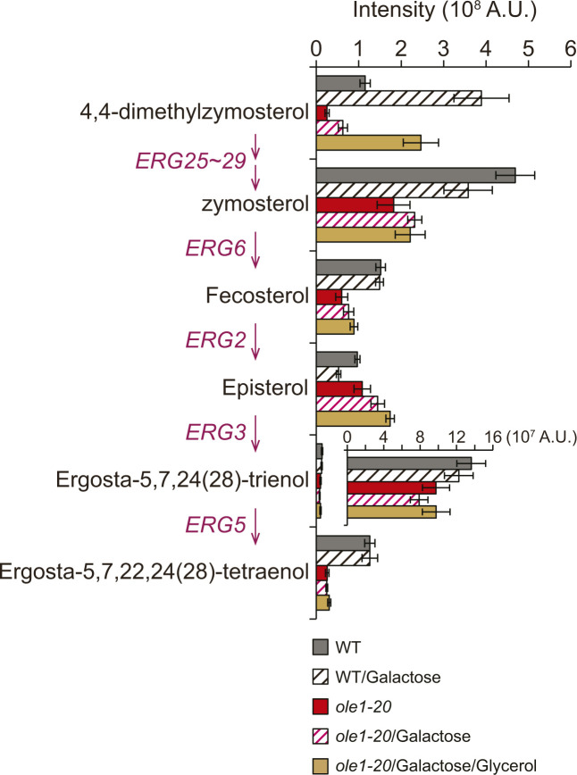 Figure S5.