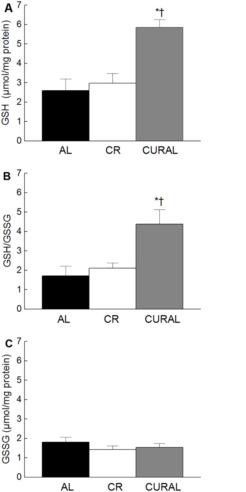 Fig 5