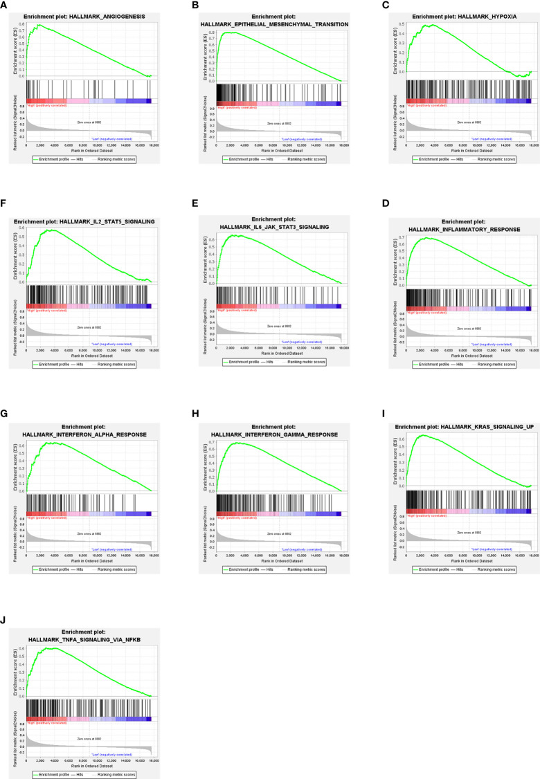 Figure 6