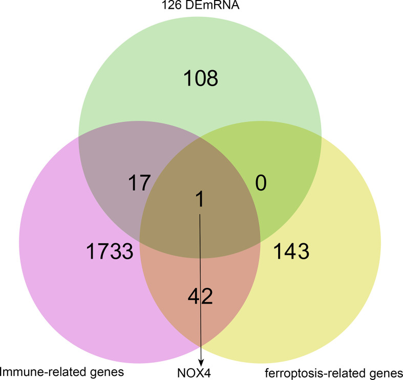 Figure 3