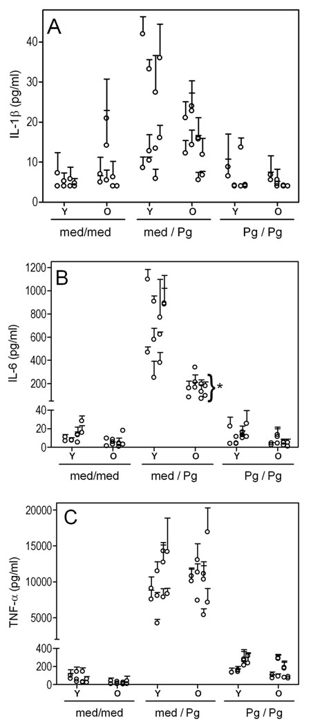 Fig. 5