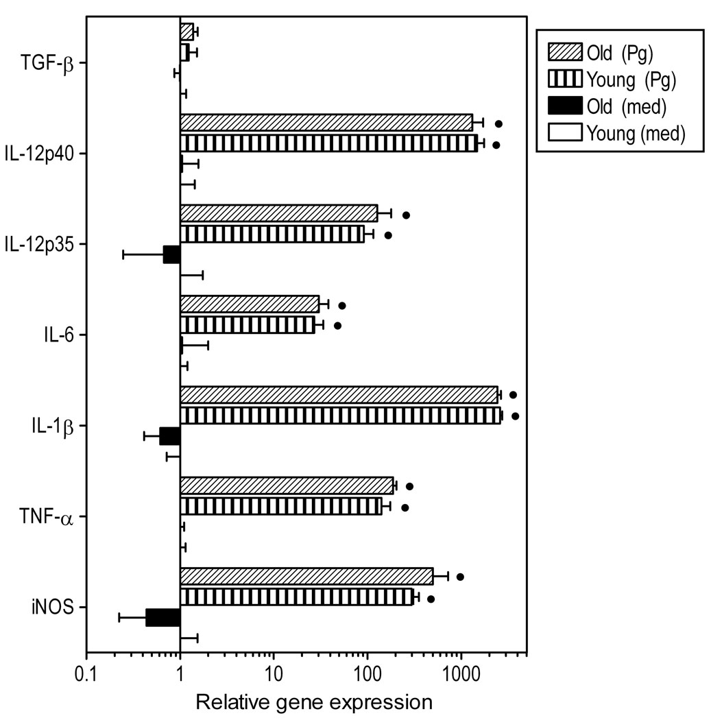 Fig. 4