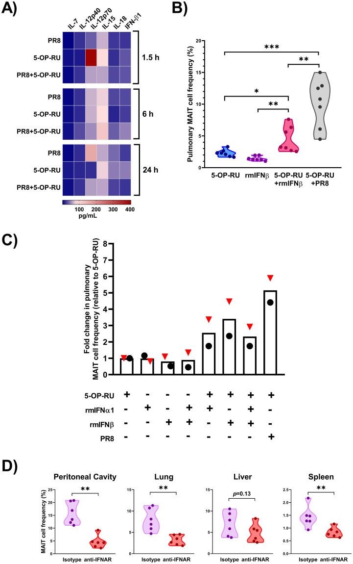 Fig 6