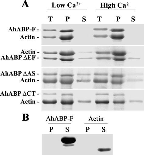 Fig. 9