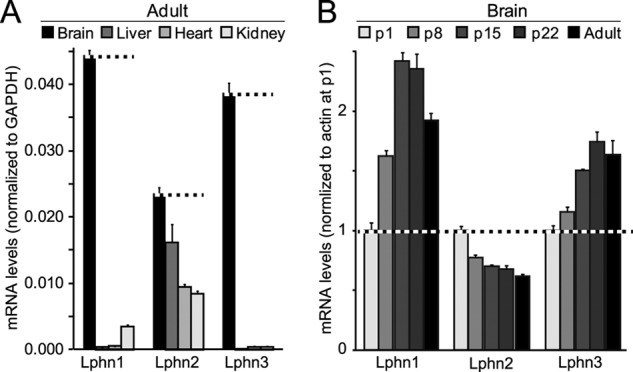 FIGURE 1.