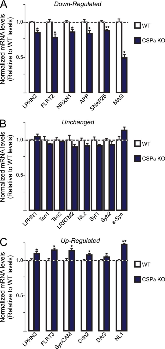 FIGURE 10.