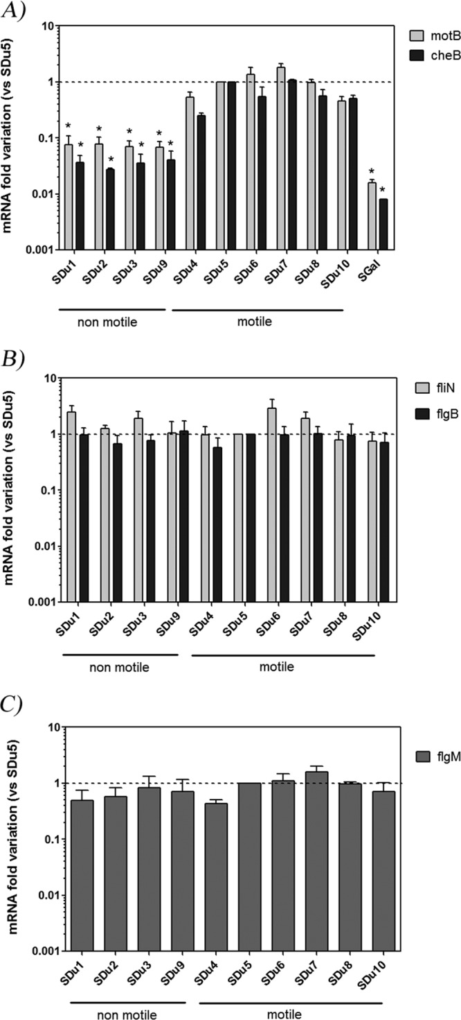 FIG 1