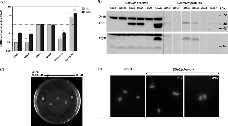 FIG 3