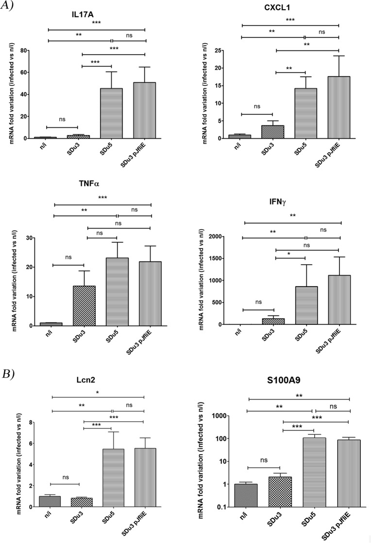 FIG 6