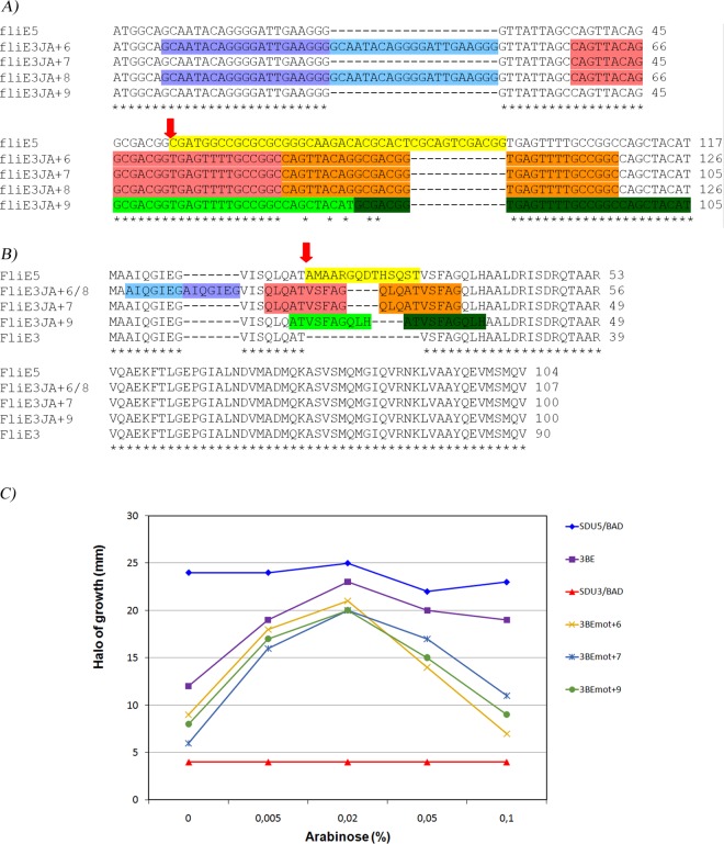 FIG 7