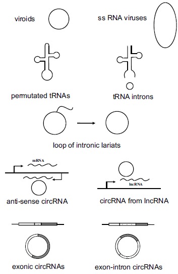 Fig. (1)