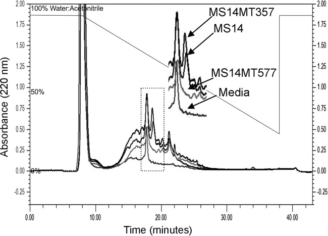 FIG 3