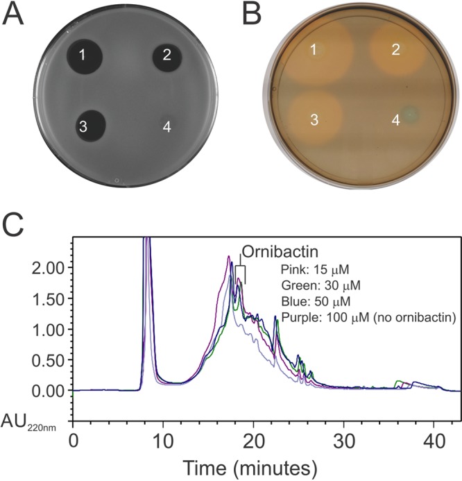 FIG 6