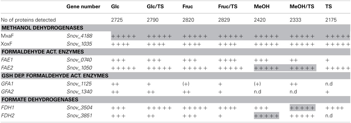 graphic file with name fmicb-04-00304-i0003.jpg