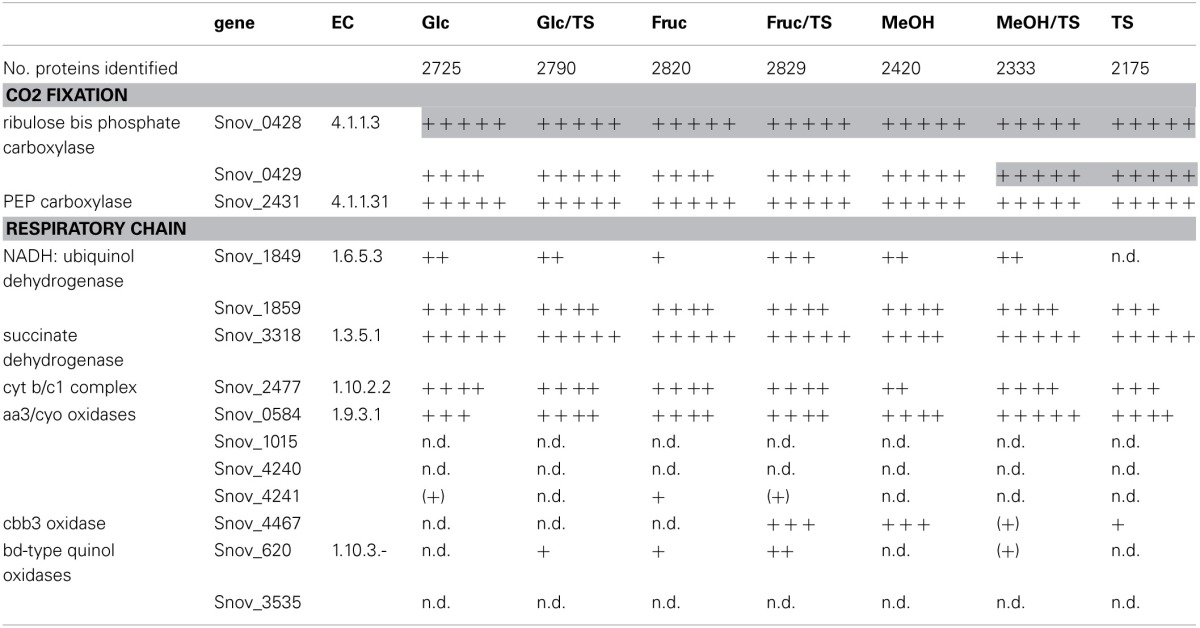 graphic file with name fmicb-04-00304-i0001.jpg