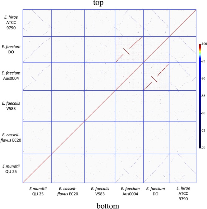 Figure 2.