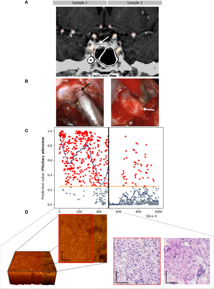 Figure 4