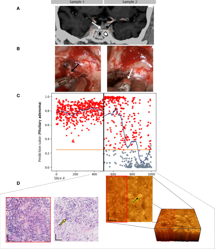 Figure 3