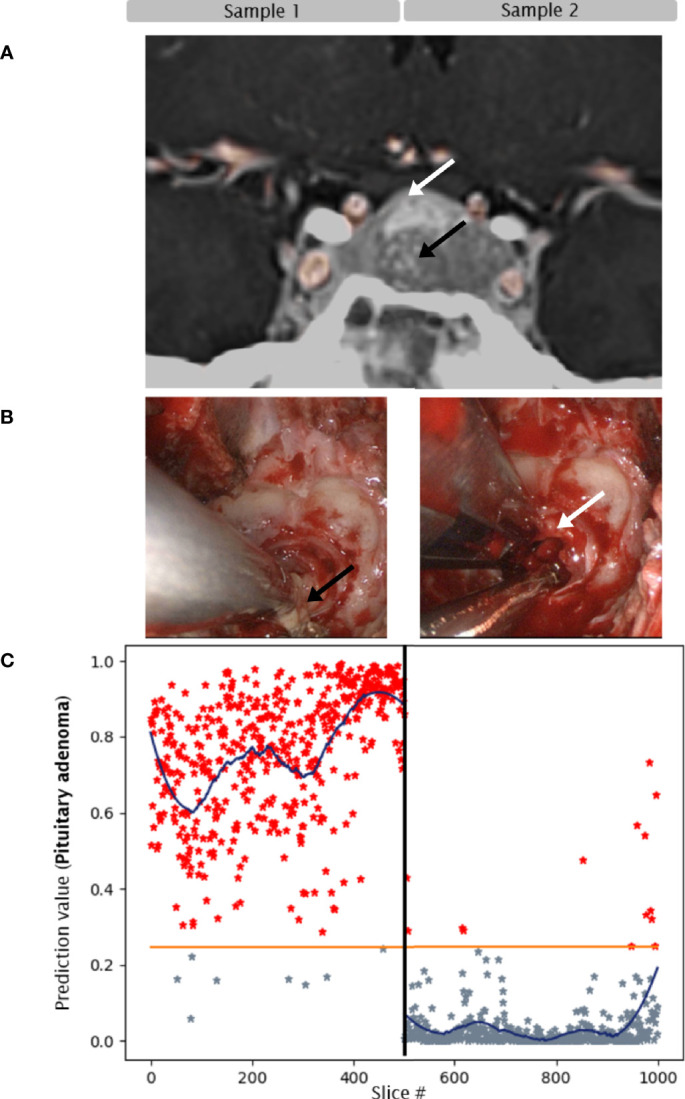 Figure 2