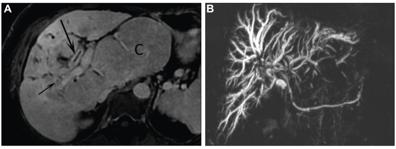 Fig. 3