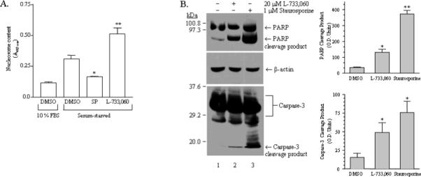 Fig.2