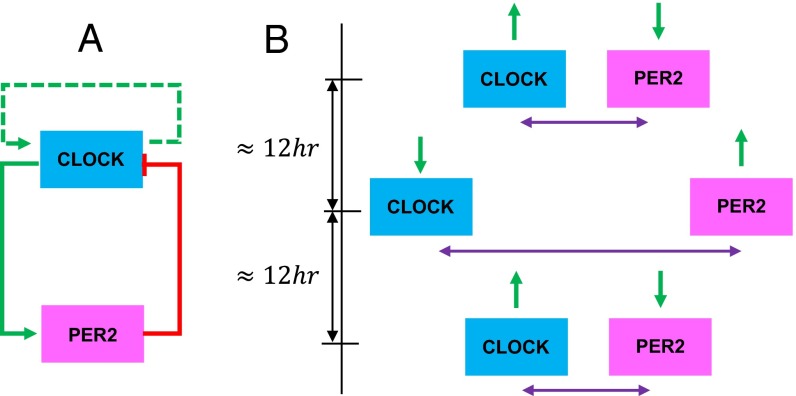 Fig. 7.