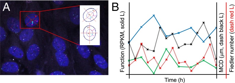 Fig. 6.