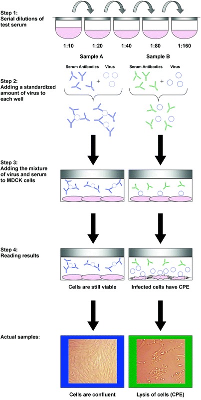 Fig. 4