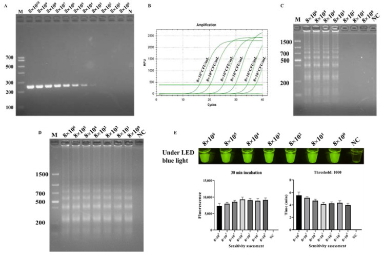 Figure 6