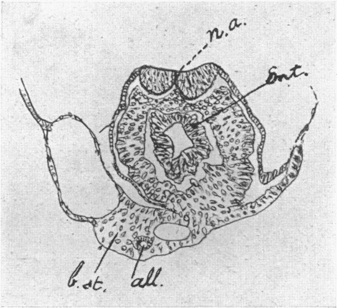 Fig. 10