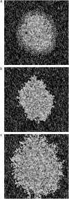 FIGURE 16