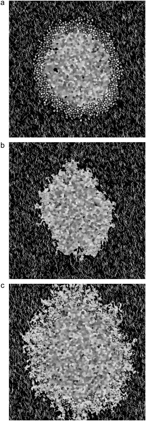 FIGURE 16