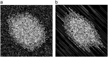 FIGURE 15